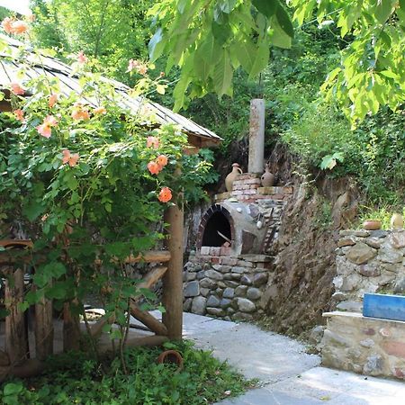 Nikala'S House Otel Borjomi Dış mekan fotoğraf